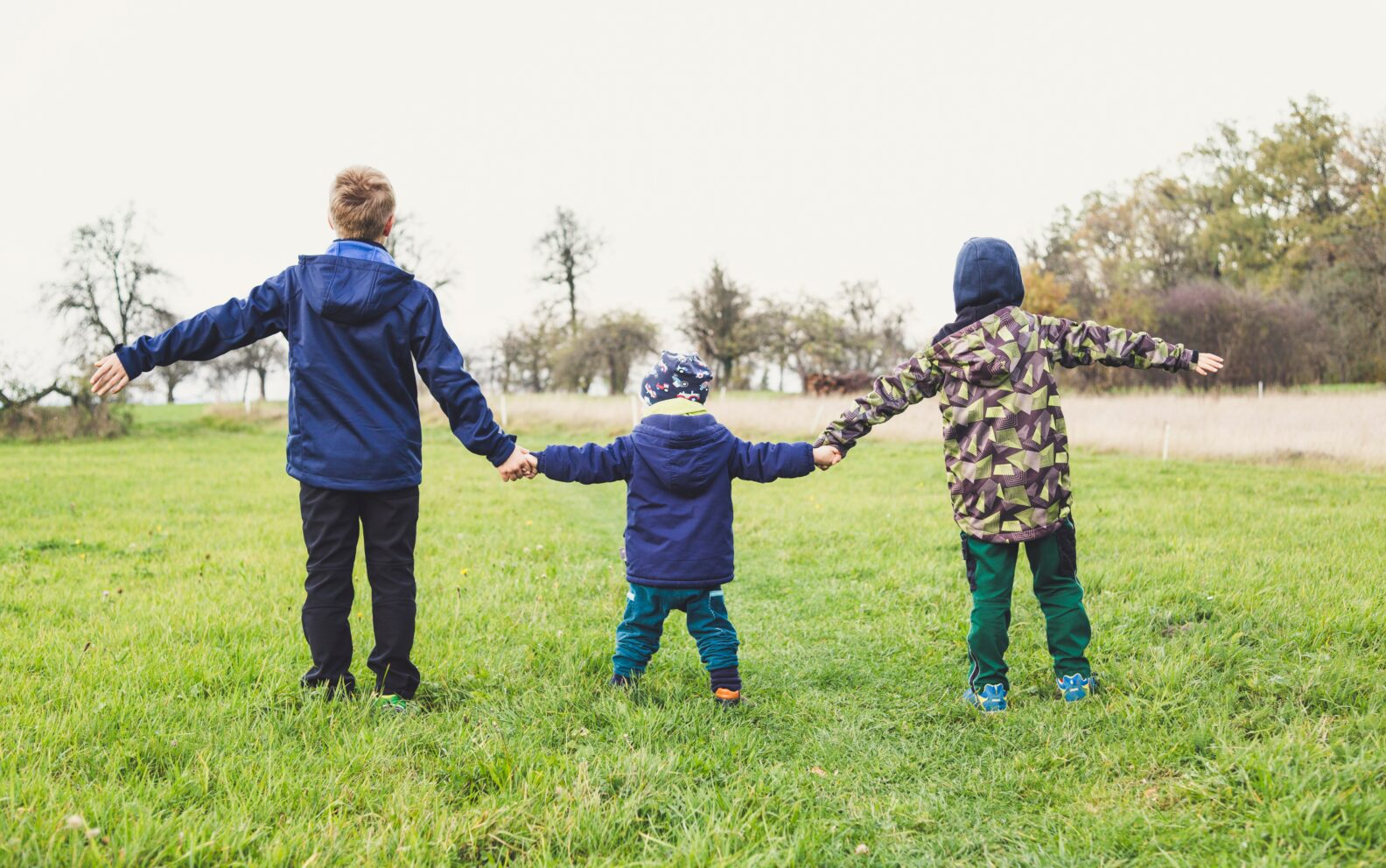 A group of people holding hands in the grass.